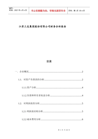 江苏XX集团股份有限公司财务分析报告(DOC41页)