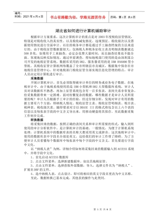湖北省如何进行计算机辅助审计