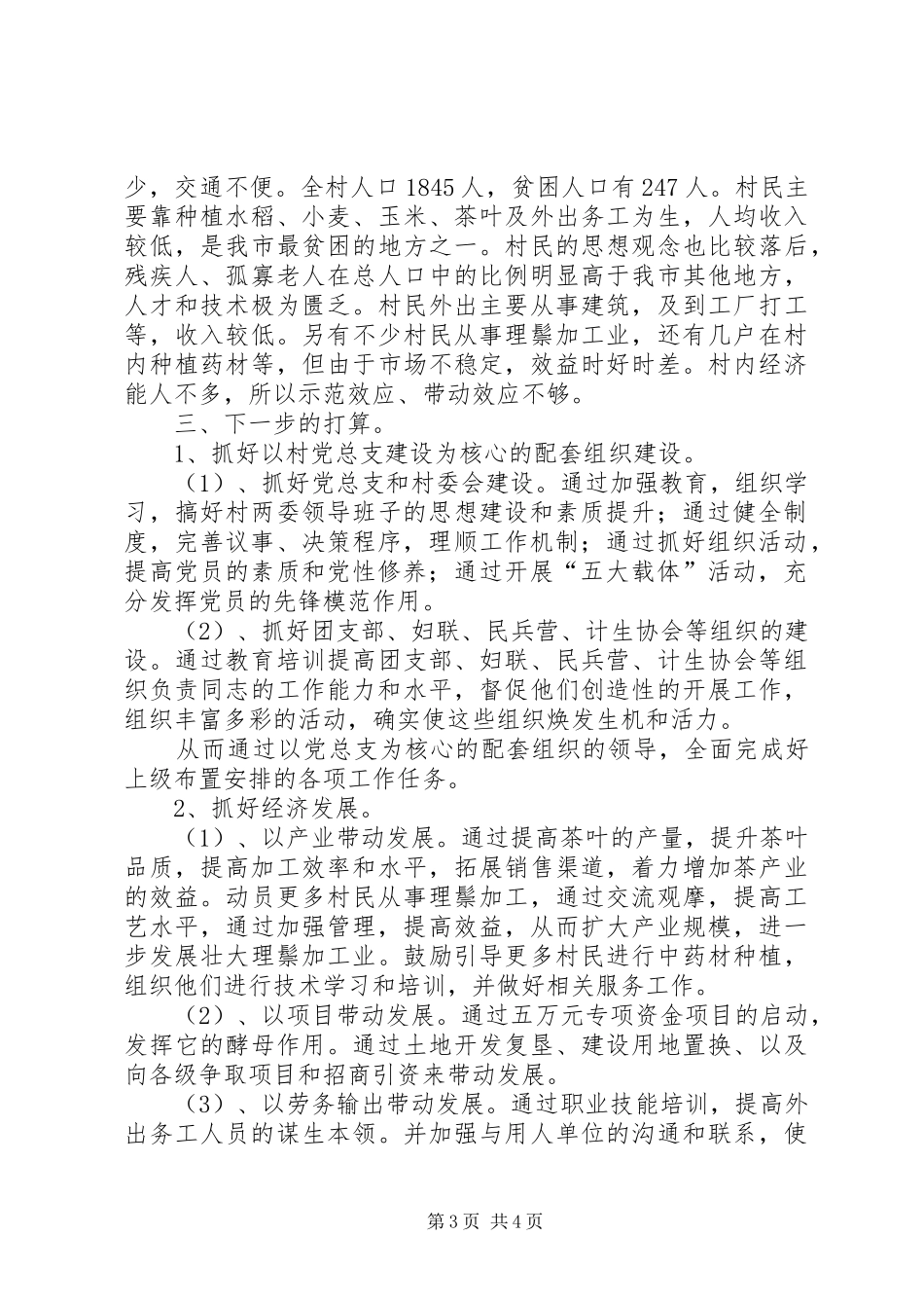 村委会落实整改年度工作报告_第3页