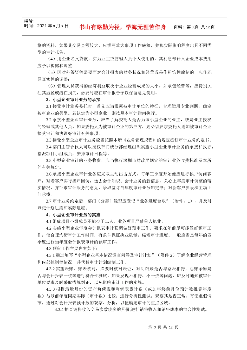 小型企业审计指导书_第3页