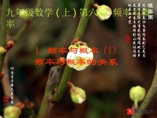 北师大版初三数学频率与概率(1)_ABC教育网_[1]
