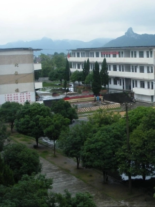 [初中美术课件]走近美术