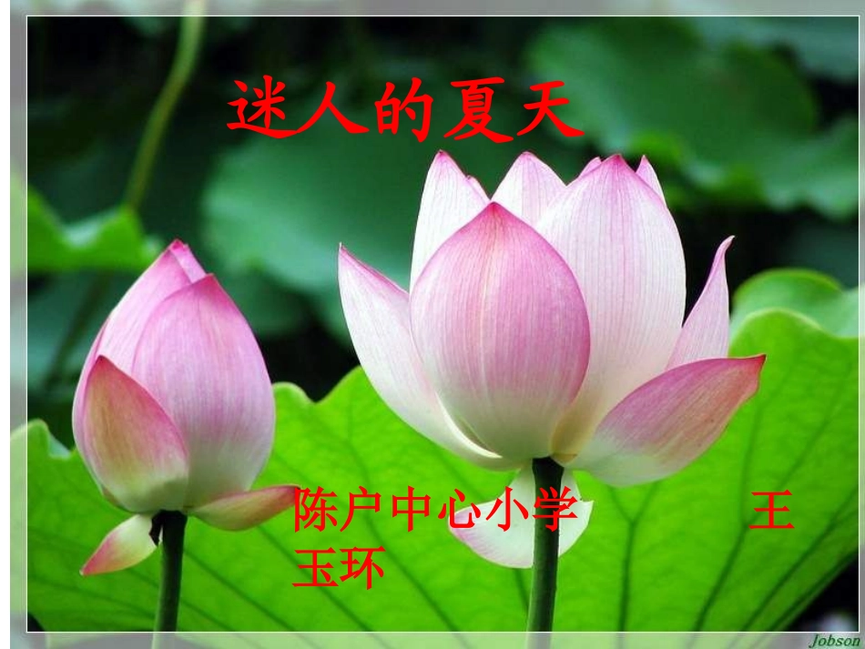 《迷人的夏天》王玉环_第1页