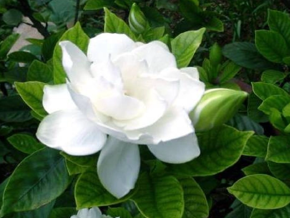 《迷人的夏天》王玉环_第2页