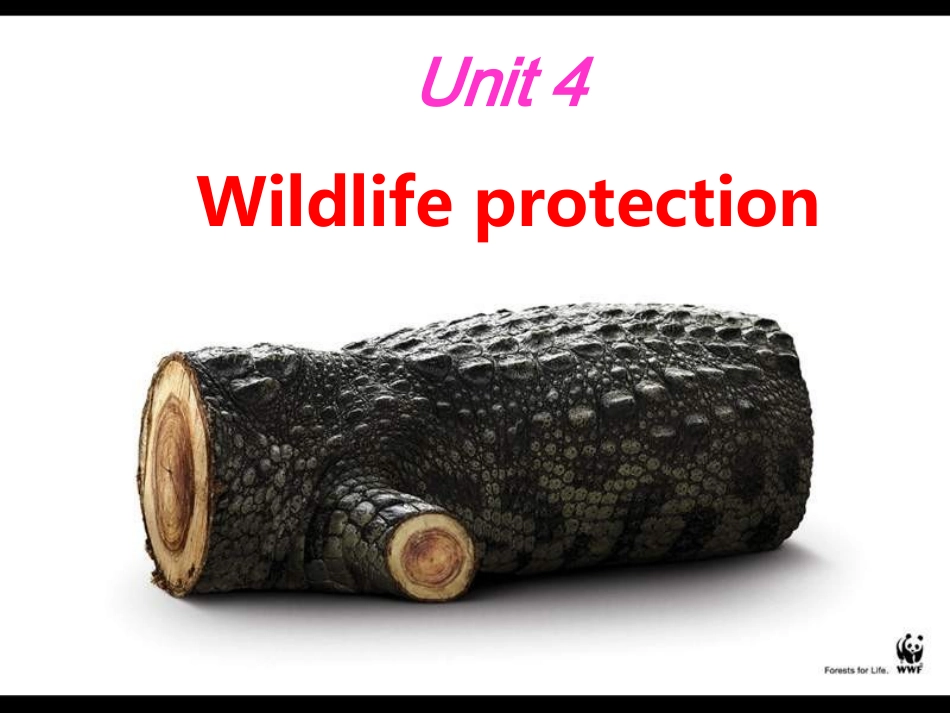 高一英语Wildlife_protection课件_第1页