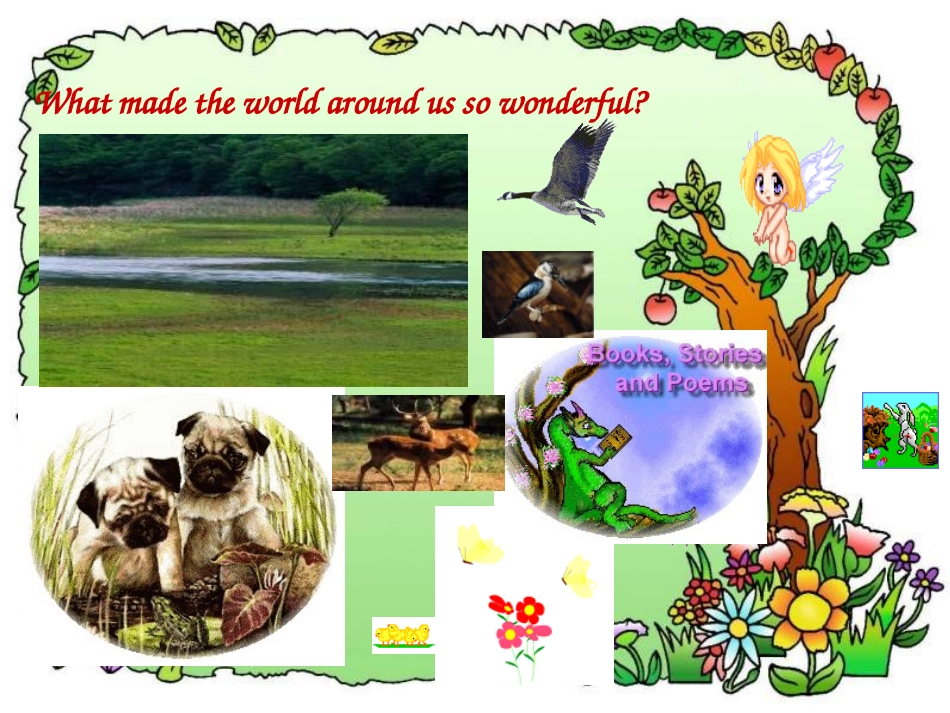 高一英语Wildlife_protection课件_第2页