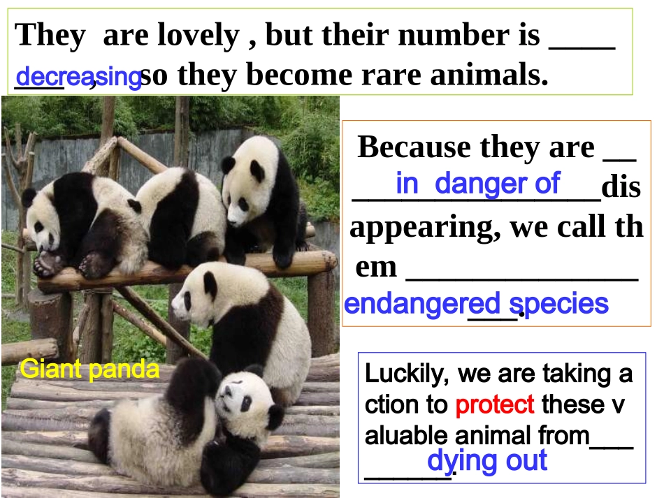 高一英语Wildlife_protection课件_第3页