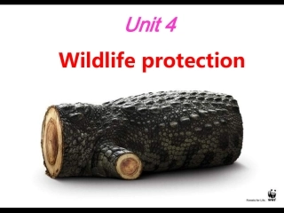 高一英语Wildlife_protection课件