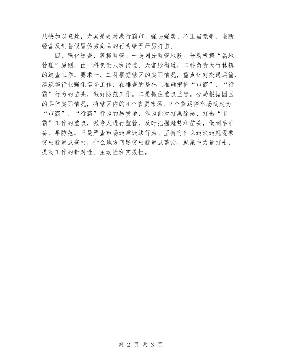 2024年工商局打黑除恶专项整治工作经验总结_第2页