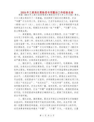 2024年工商局打黑除恶专项整治工作经验总结
