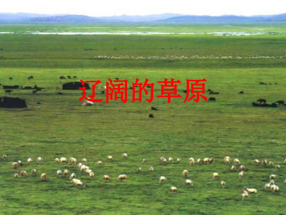 辽阔的草原课件_第1页