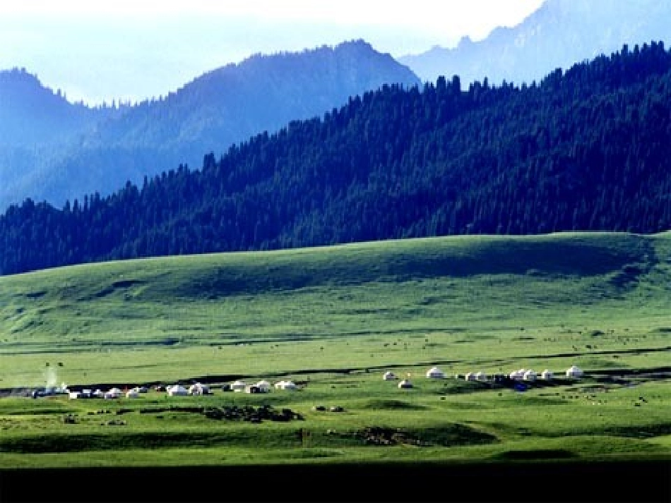 辽阔的草原课件_第3页
