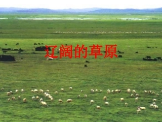 辽阔的草原课件