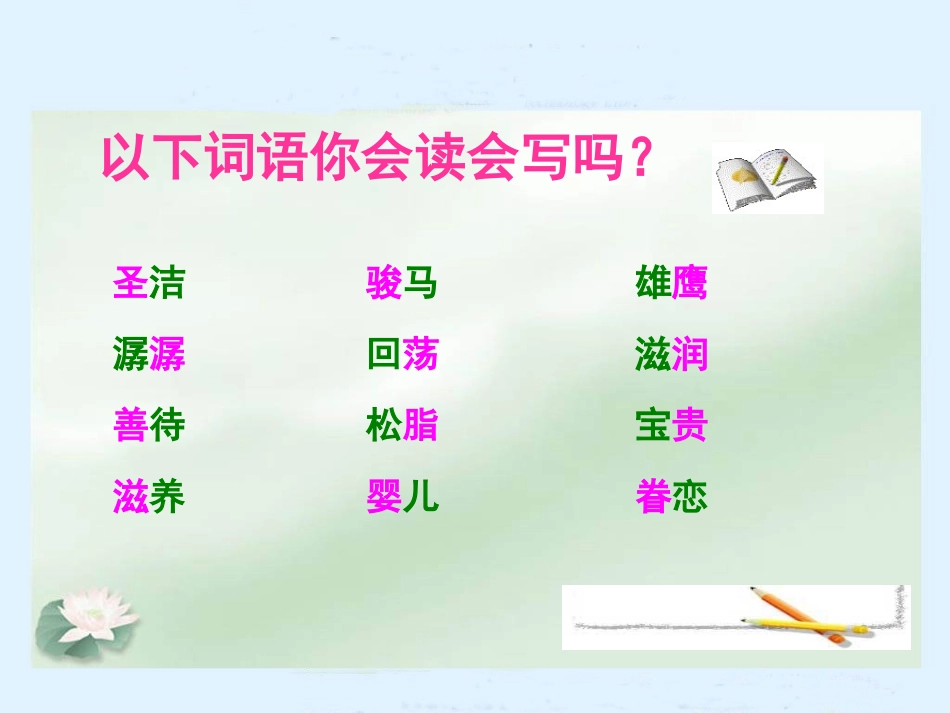 《这片土地是神圣的》[1]_第2页