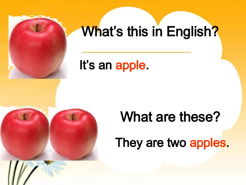 可数名词变复数形式及指示代词，人称代词，系动词复数形式_第2页