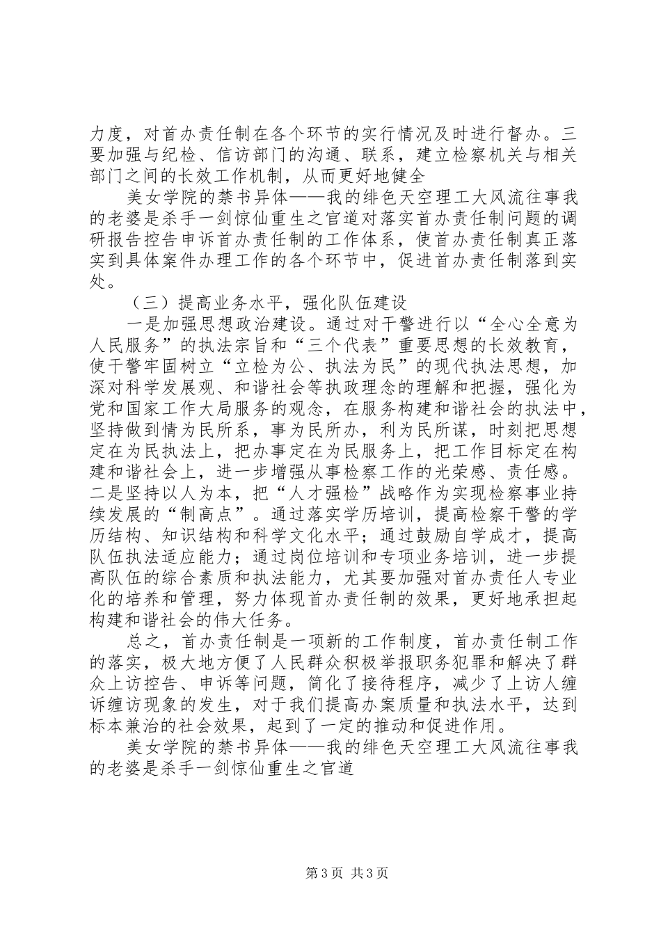 对落实首办责任制问题的调研报告_第3页