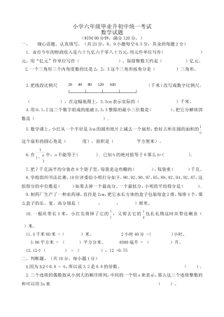 小学毕业升初中数学试题