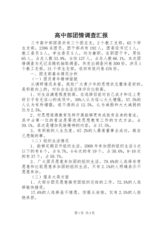 高中部团情调查汇报