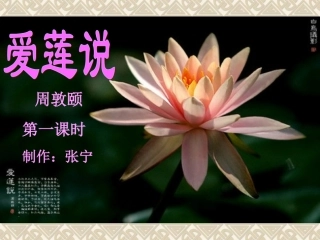《爱莲说第一课时》课件