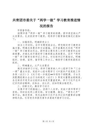 共青团市委关于“两学一做”学习教育推进情况的报告