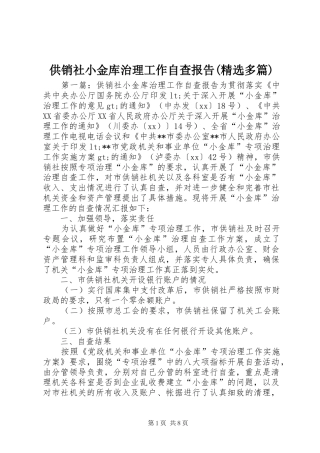 供销社小金库治理工作自查报告(精选多篇)
