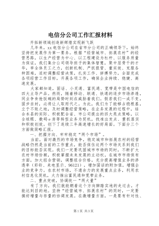 电信分公司工作汇报材料