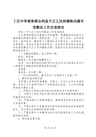 丁庄中学侵害群众利益不正之风和腐败问题专项整治工作自查报告