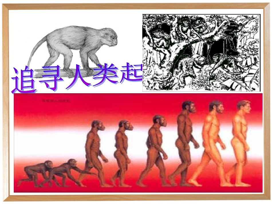 追寻人类起源2_第1页