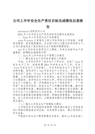 公司上半年安全生产责任目标完成情况自查报告