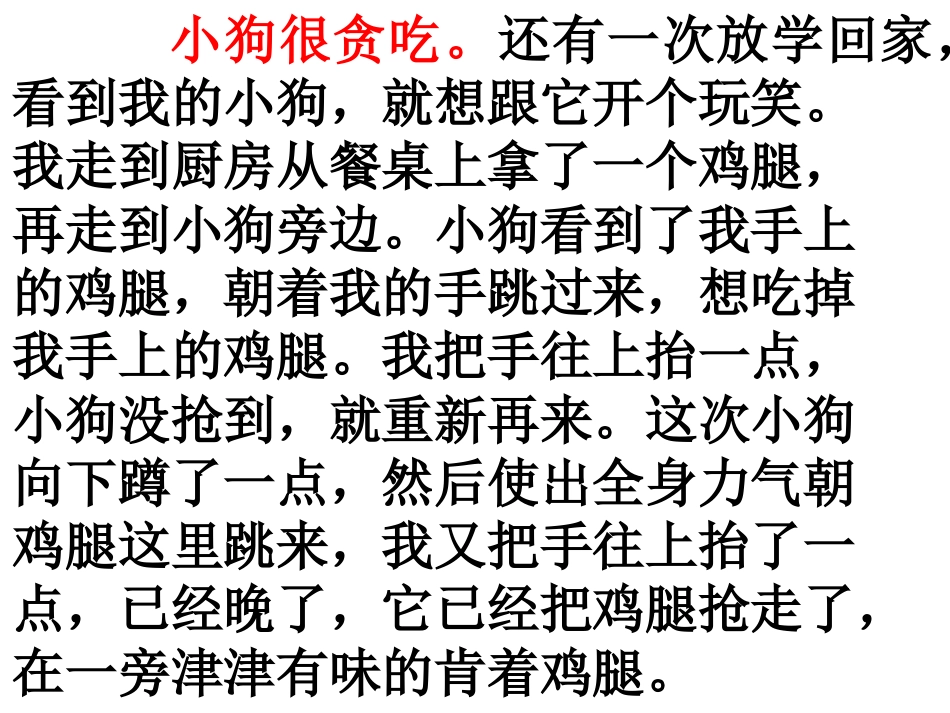 写小动物的作文课件_第1页