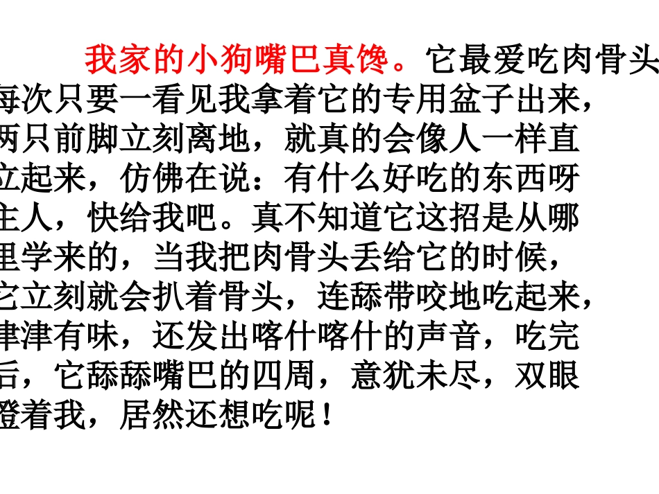 写小动物的作文课件_第2页