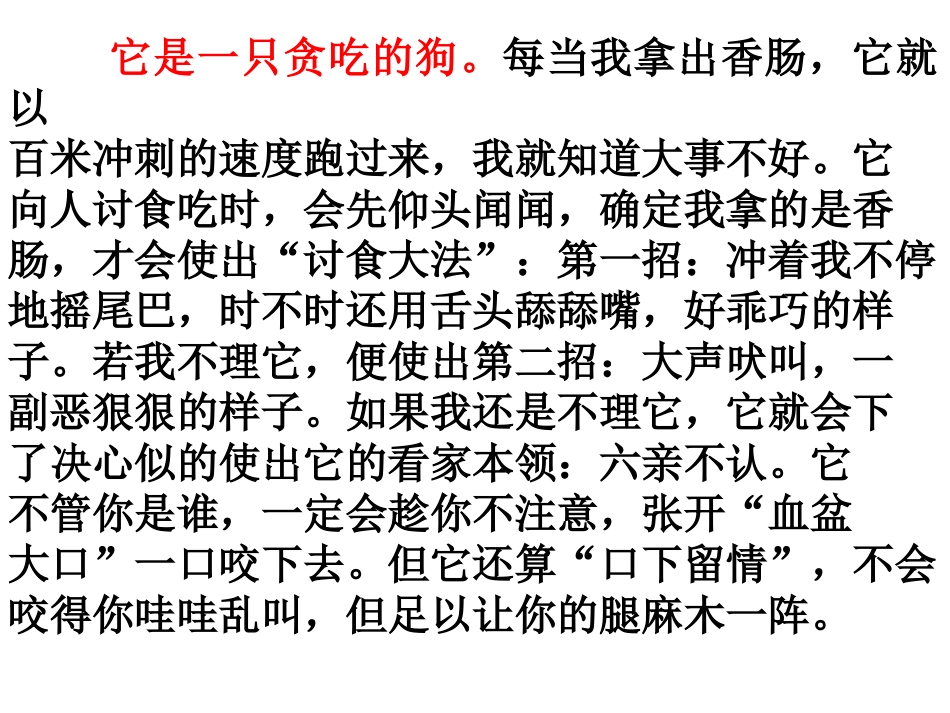 写小动物的作文课件_第3页