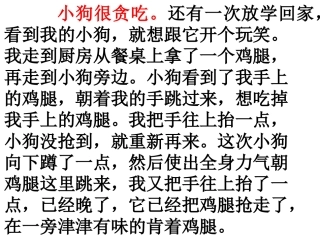 写小动物的作文课件