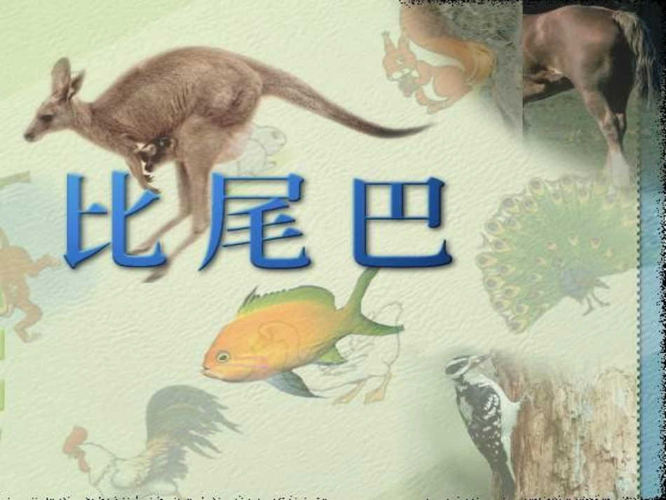 小学一年级上册语文第十课比尾巴PPT课件2_第1页