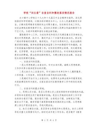 小学“回头看”自查自纠和整改落实情况报告