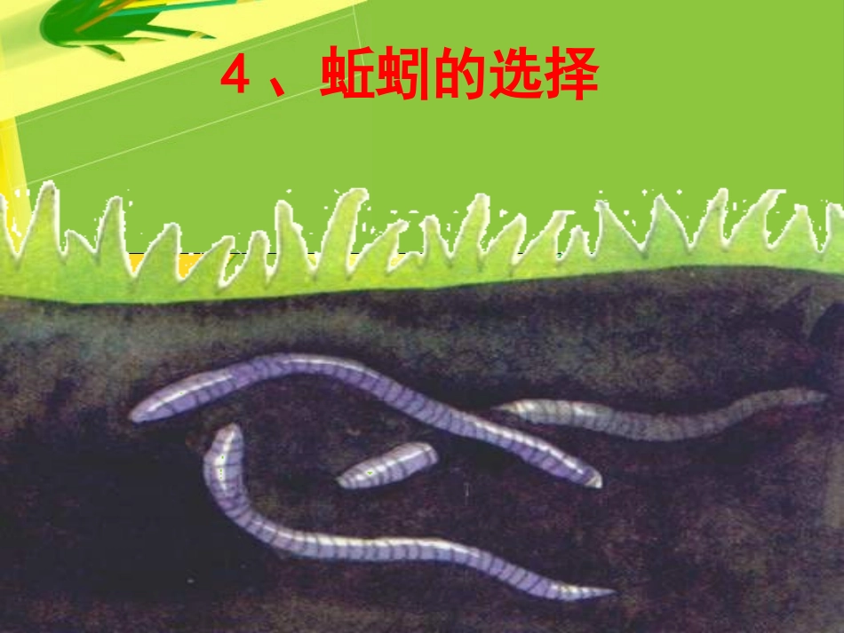 五年级科学上册第一单元蚯蚓的选择_第1页