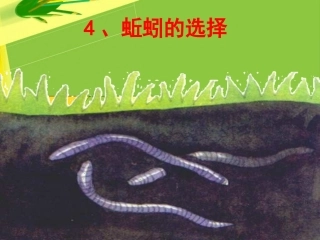 五年级科学上册第一单元蚯蚓的选择