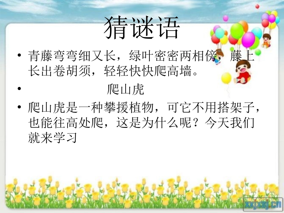 《爬山虎的脚》课件_第1页