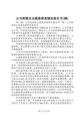 公司桥梁安全隐患排查情况报告书(精)