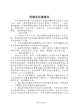 村委会自查报告