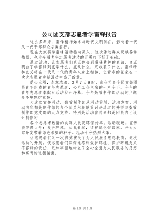 公司团支部志愿者学雷锋报告