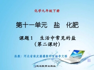 课题1生活中常见的盐（第二课时）