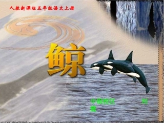人教版五年级语文上册9《鲸》课件刘霞