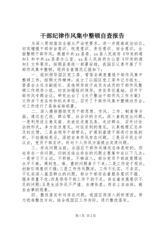 干部纪律作风集中整顿自查报告