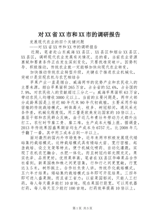 对XX省XX市和XX市的调研报告