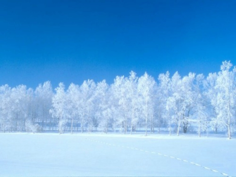 雪地里的小画家 (4)_第3页