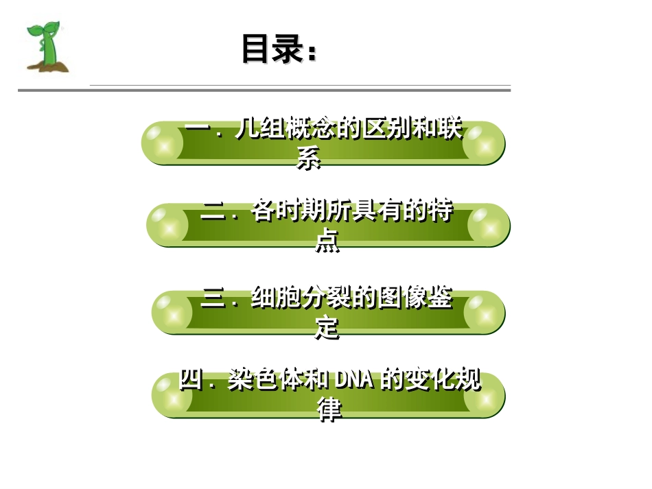 减数分裂习题课_第2页