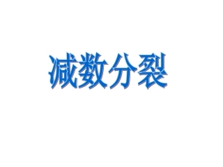减数分裂习题课