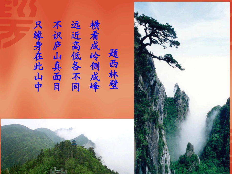 观察物体课件_第2页