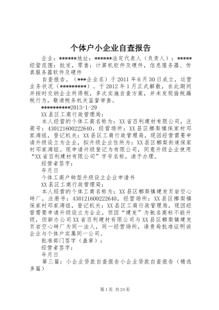 个体户小企业自查报告